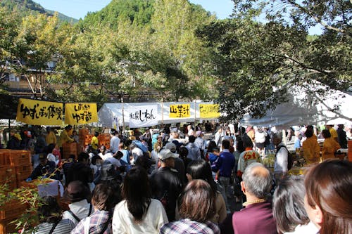 ゆずはじまる祭りメイン会場の様子。写真の左側のゆずしぼり体験では今年とれたゆずを搾り、搾りたての「ゆず酢」を購入できるとあって朝早くから長蛇の列ができていた。