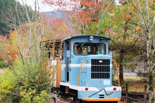 魚梁瀬地区では実際に走っていた森林鉄道が動態保存されています。乗車体験や運転体験もできますよ!