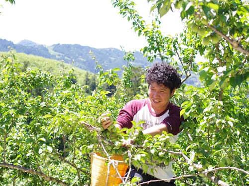愛情を込めて育てた分、収穫の時期が一番嬉しい時間です。