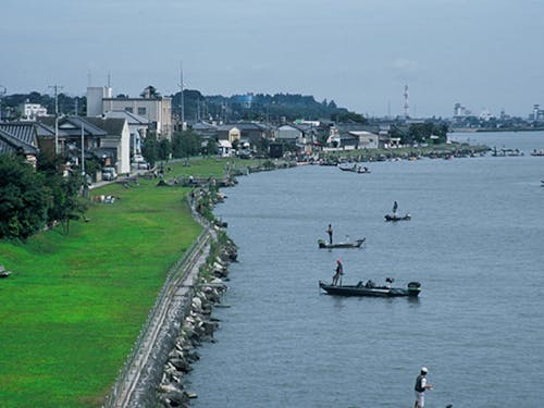水郷潮来の様子。