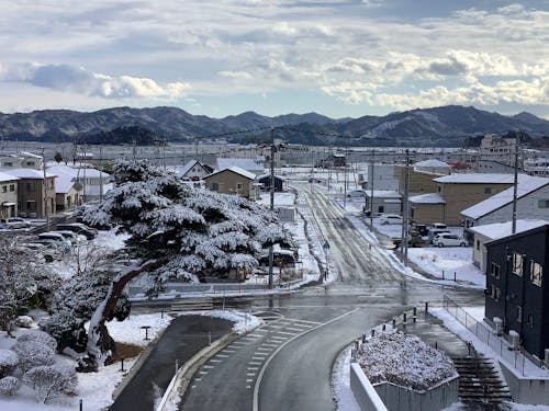 雪が降り積もった様子(2021年1月撮影)