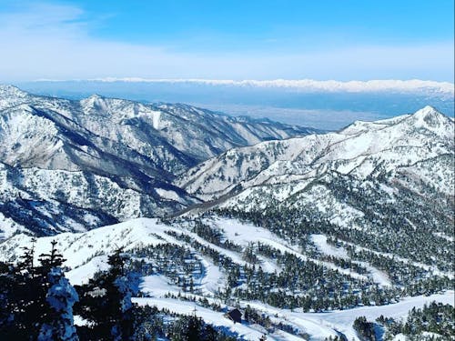 志賀高原は標高が高く最高のパウダーが楽しめますよ