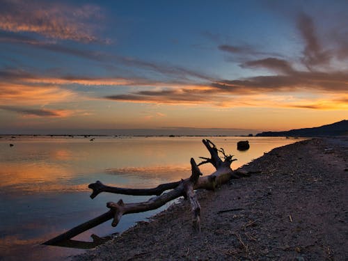 江口_鵜ノ崎クレジット男鹿市