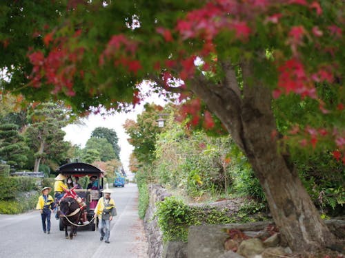 観光だけではわからない魅力たくさんあります