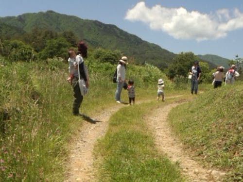 ヒミツの散歩道