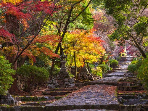 九州は、様々な観光地や、自然が息づく地でもあります