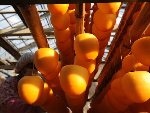 南砺市特産の干柿。当日はたくさんの農家さんが参加予定です。