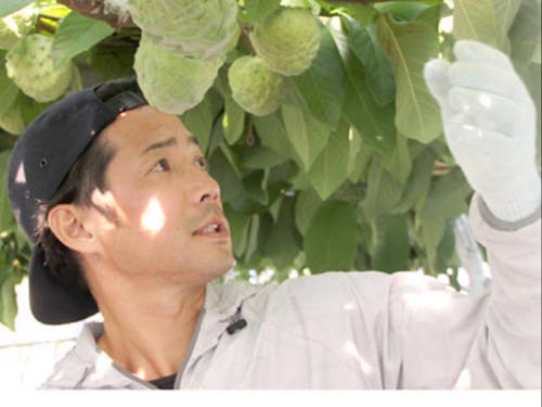 やまで農園の山出陽介さん