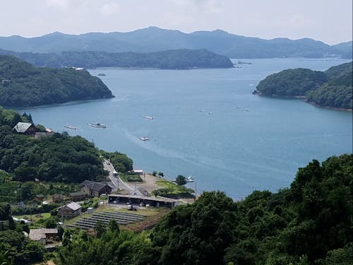 みかん畑が広がる内瀬集落