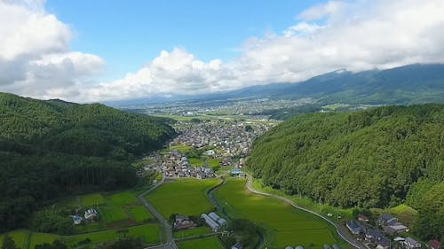 初夏の風景。広がる水田と山々の調和が美しい。