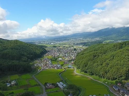 初夏の風景。広がる水田と山々の調和が美しい。