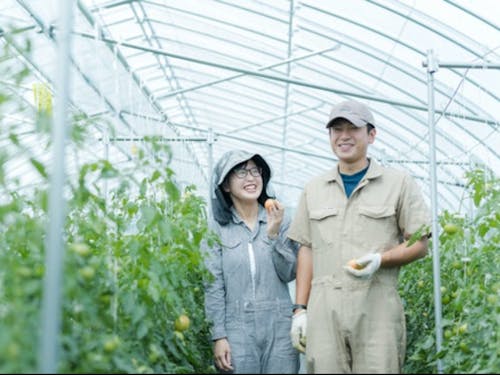 睦良田(むらた)さんご夫妻も、研修制度を利用した後、農家さんとして独立。 移住者インタビュー:小さいころに食べた下川のおいしいフルーツトマトを自分の手で作りたい~http://shimokawa-life.info/interview/interview-vol11/