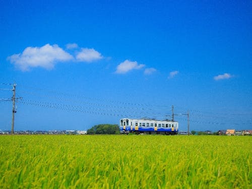 坂井平野　田園風景