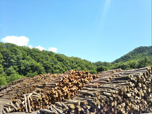 岩泉町は面積の93%が山に覆われています