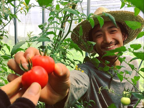 「粟土舎」の粟野さん。農薬、化学肥料、除草剤は一切使用せず、土・水・風を基とした周りの自然環境を大切にしています。
