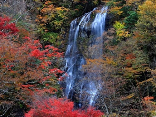 紅葉スポット「白滝」の紅葉
