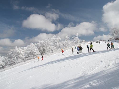 日本最南端の天然雪スキー場「五ヶ瀬ハイランドスキー場」
