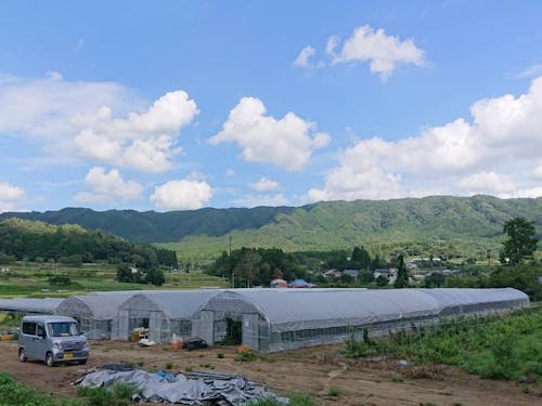 ラズベリーハウス