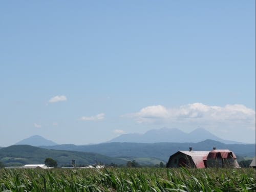 晴れた日には阿寒の山々がみえます