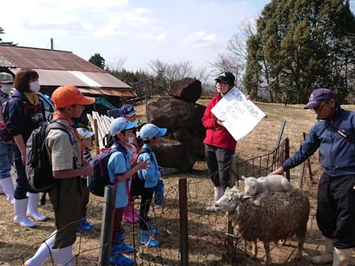 めえめえ牧場「仔羊おひろめぇ~会」イベント実施風景
