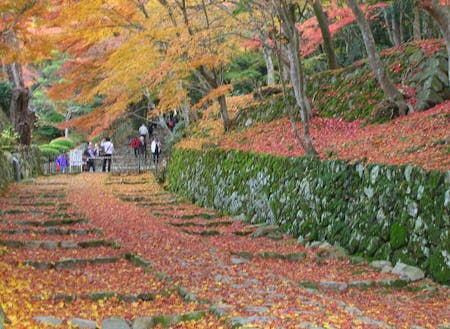 紅葉の名所近江最古級の寺院「百済寺」が近くにあります