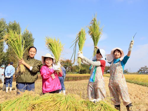 農家の方々と楽しく活動しませんか