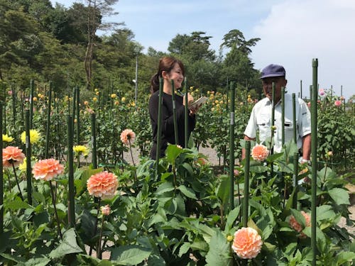 先輩協力隊員と共に、町を更に元気にしてくれる方を募集します!