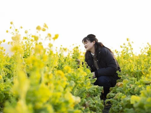 笠岡市 笠岡ベイファーム