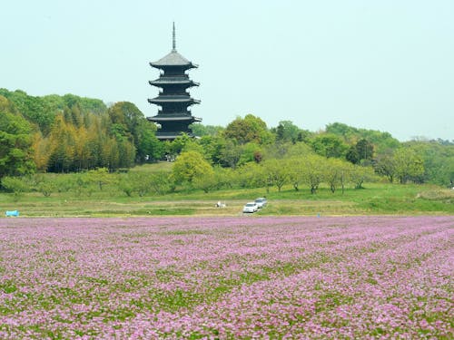 総社市 備中国分寺