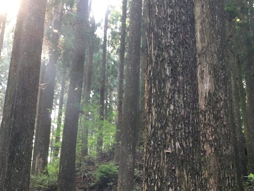 自然豊かな環境で・・・。あなたの夢はなんですか・・・。