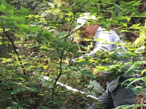 自然は好きですか?