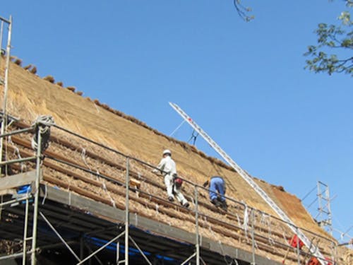 野原建設㈱が実施している茅プロジェクト。建設を通じ地域の安全・安心を守っています。