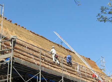野原建設㈱が実施している茅プロジェクト。建設を通じ地域の安全・安心を守っています。