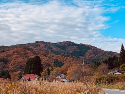 津島地区の紅葉風景