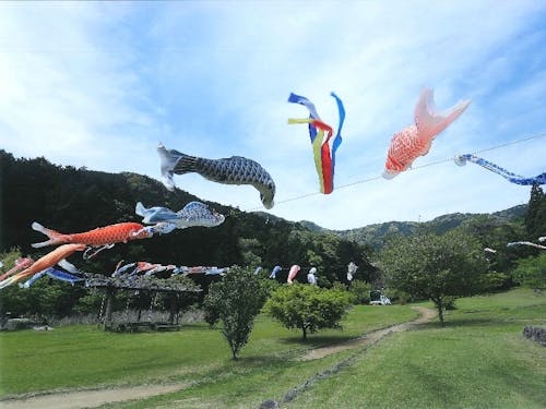 おちばの里親水公園