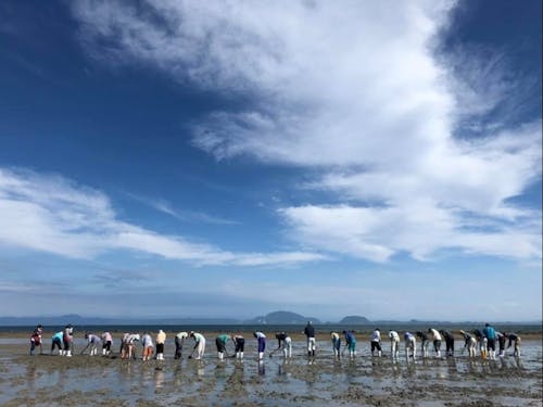 深江ブループロジェクト。子どもたちに豊かな浜を残すため、海を守り育てる活動を行っています。