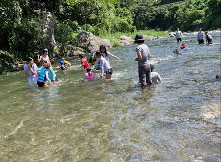 夏の暑い日は川遊び！
