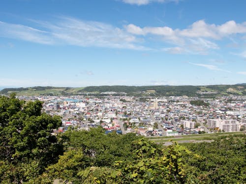 人口約22,000人の新ひだか町。市街地には商業施設などが集まる。