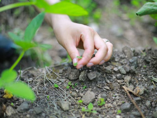村には有機農業に取り組もうとする移住者も多い