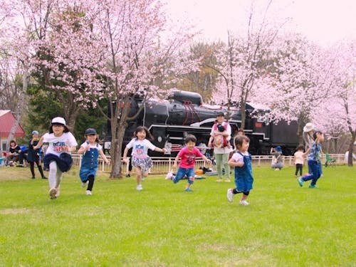 人気の桜山公園