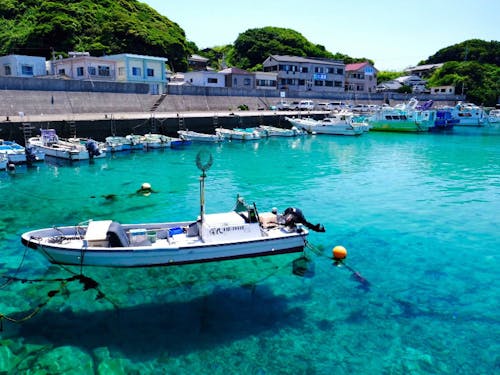 保・小・中までの一体的な子育て環境が魅力の大月町は13日（土）のみ参加！