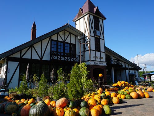 ハロウィン時期のニセコ駅