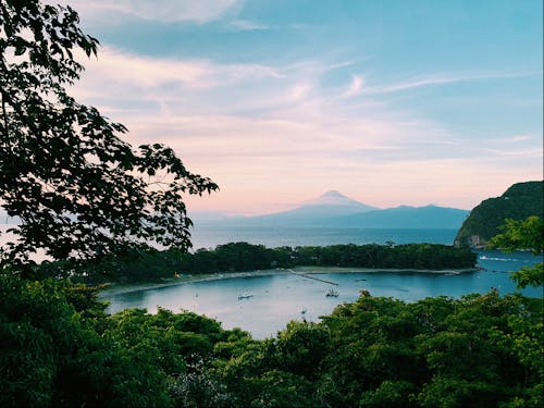沼津市戸田(へだ)の風景