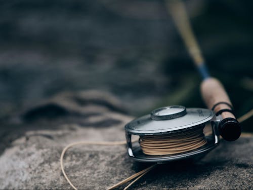 渓流釣りも人気の一つ。釣りガイドの育成も進めています!