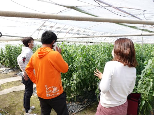 農家さんの話を聞きながら