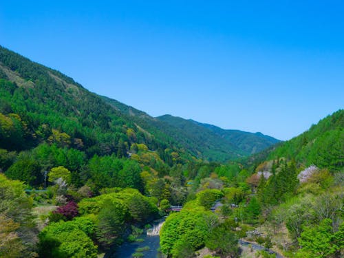 ゲストハウス近くの渓谷。圧倒的な美しさがそこにあります。