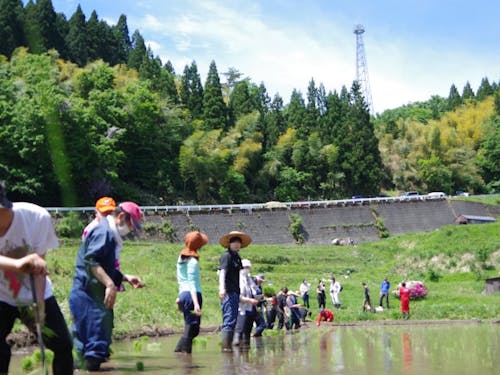 香美町小代区 「うへ山の棚田」地域内外の人で田植え
