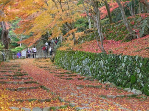 紅葉の名所近江最古級の寺院「百済寺」が近くにあります