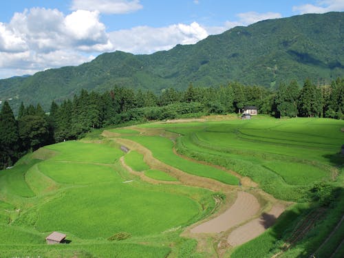 美しい里山、「小代」