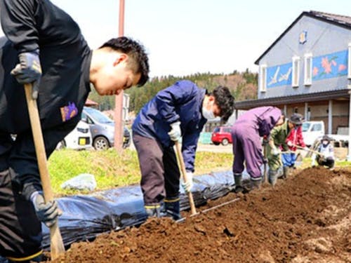 春先の畝づくり。学校の敷地内にも畑があります。